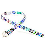 New York Giants Football Card Belt
