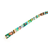 1970s Philadelphia Eagles Belt