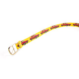 AMC Pacer Wagon Belt