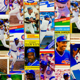 Andre Dawson Baseball Card Belt