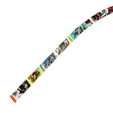 Arizona Diamondbacks Card Belt #2