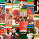 Barry Larkin Baseball Card Belt