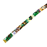 Boston Celtics Basketball Belt #6