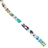 Philadelphia Eagles Football Belt #6
