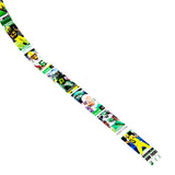 University of Oregon Card Belt
