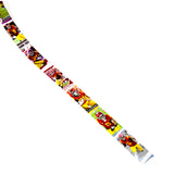 University of Southern California Football Belt