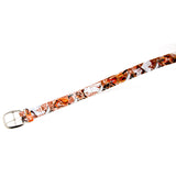University of Texas Belt