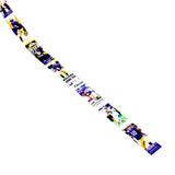 University of Washington Football Belt