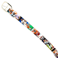 Cincinnati Bengals Football Card Belt #5