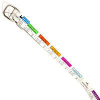 Monopoly Card Belt