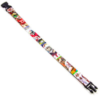 San Francisco 49ers Football Card Dog Collars