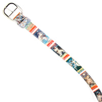 Sportflics Baseball Card Belt #7