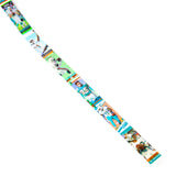 Miami Dolphins Card Belt